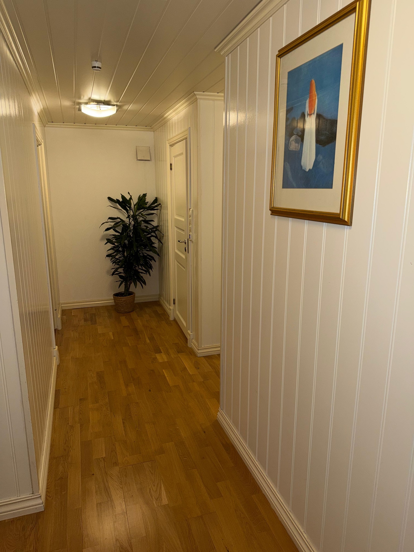 Gang mellom rommene Galleribilde