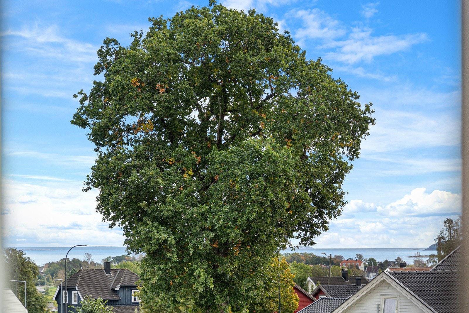 Utsikt mot Oslofjorden fra boligens 2 etg. Galleribilde