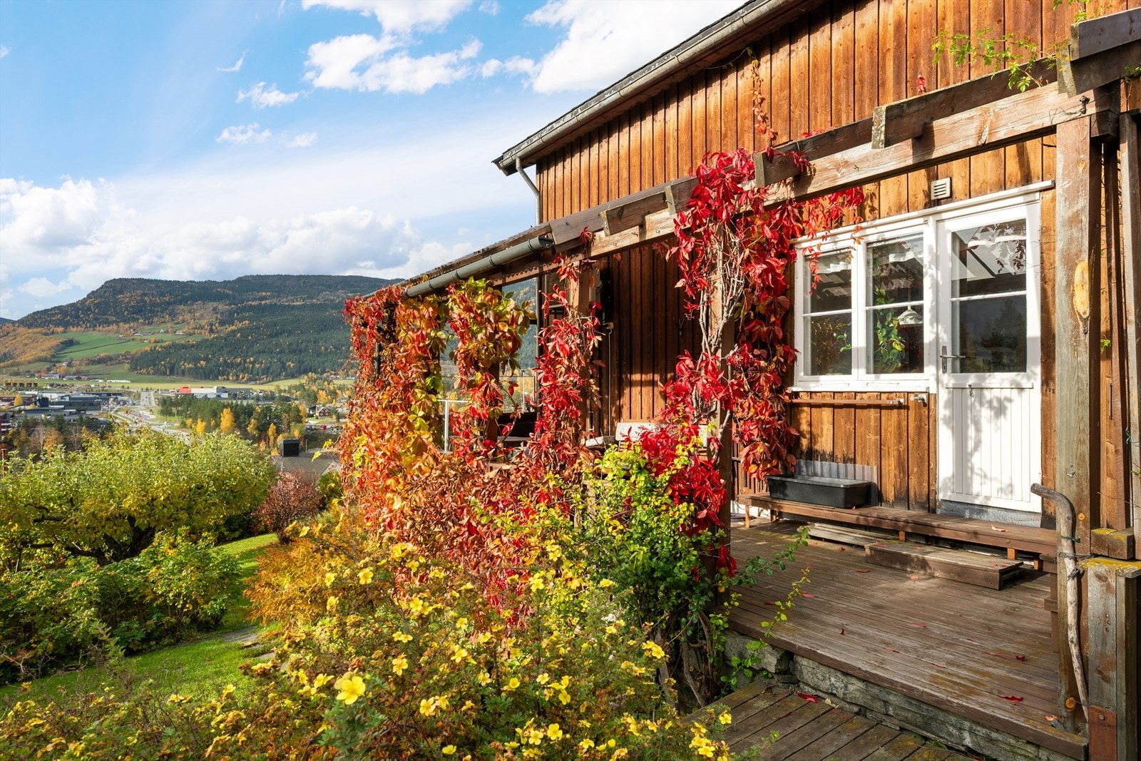 Fra terrassen er det direkte adkomst til hageområdet. Galleribilde