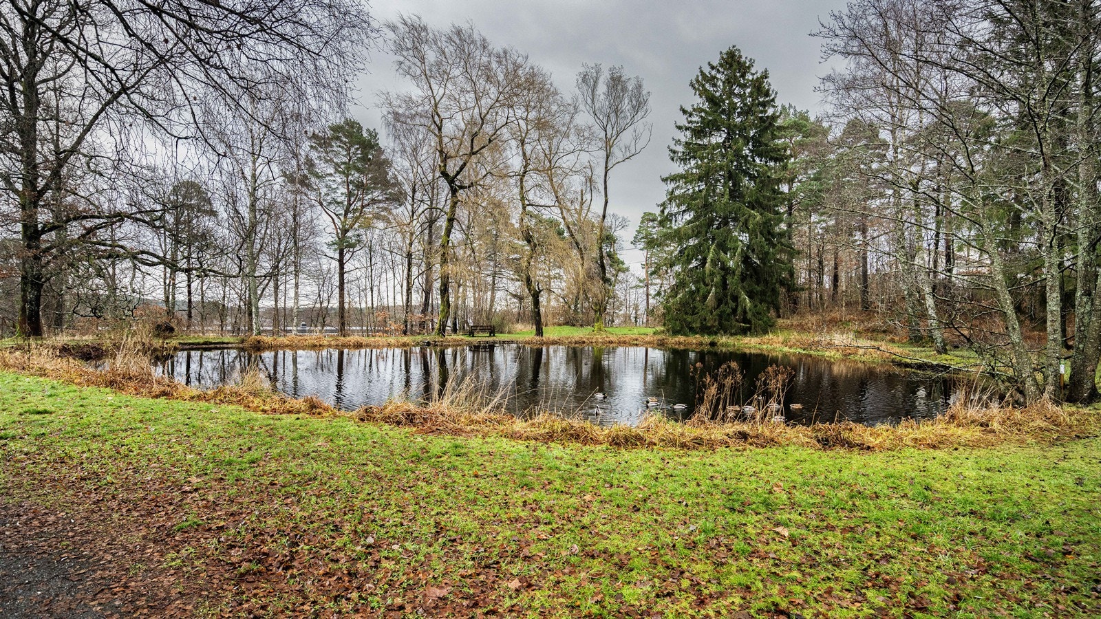 Groosedammen ligger rett bak boligen Galleribilde