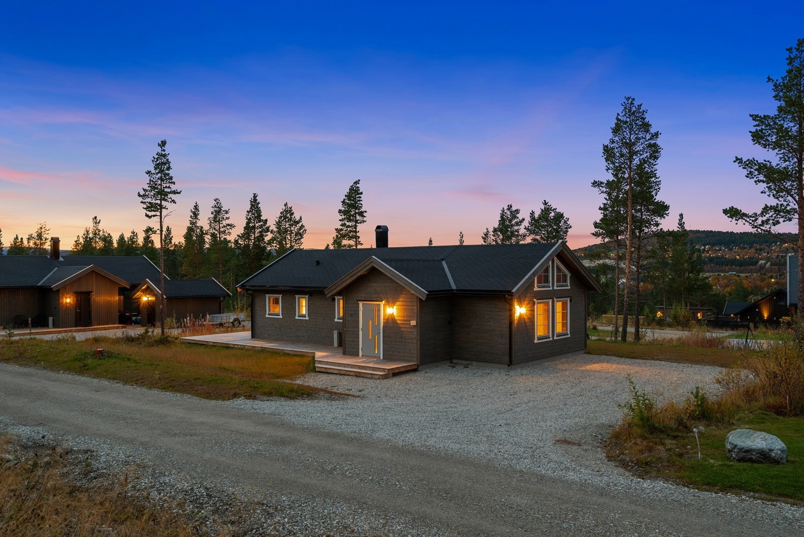 Sommerbilder. Galleribilde