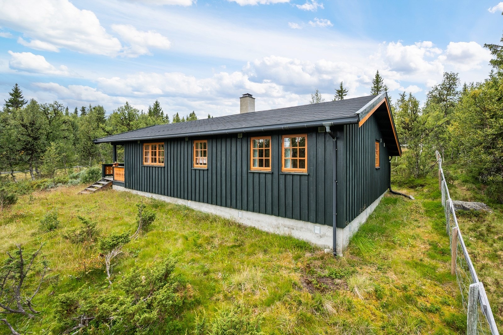 Det er romslige uteområder rundt hytta. Galleribilde