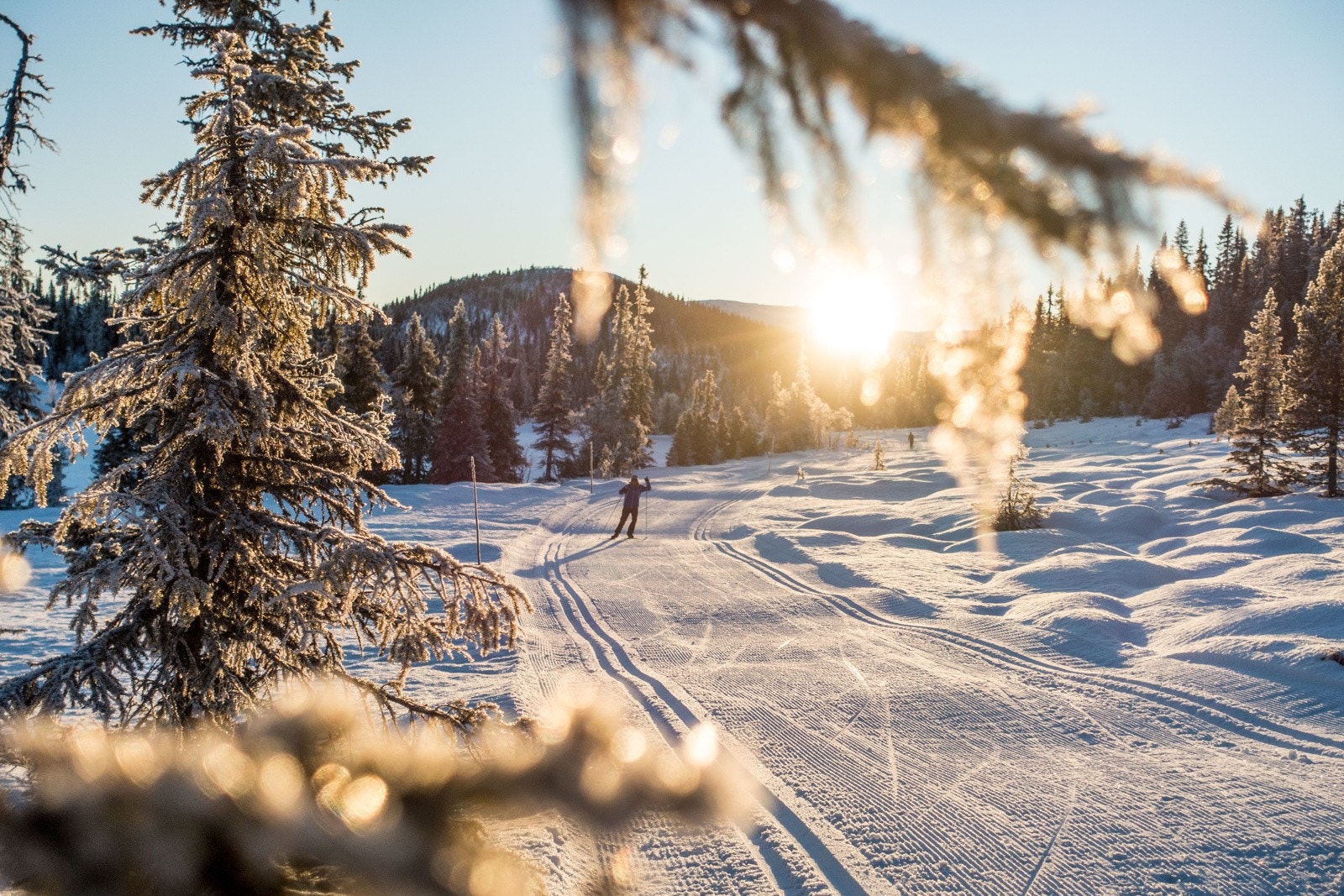 Langrenn Nesfjellet. Foto Lars Storheim Galleribilde