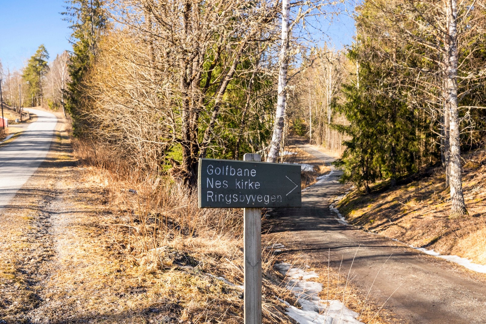 Turstier i nærområdet Galleribilde