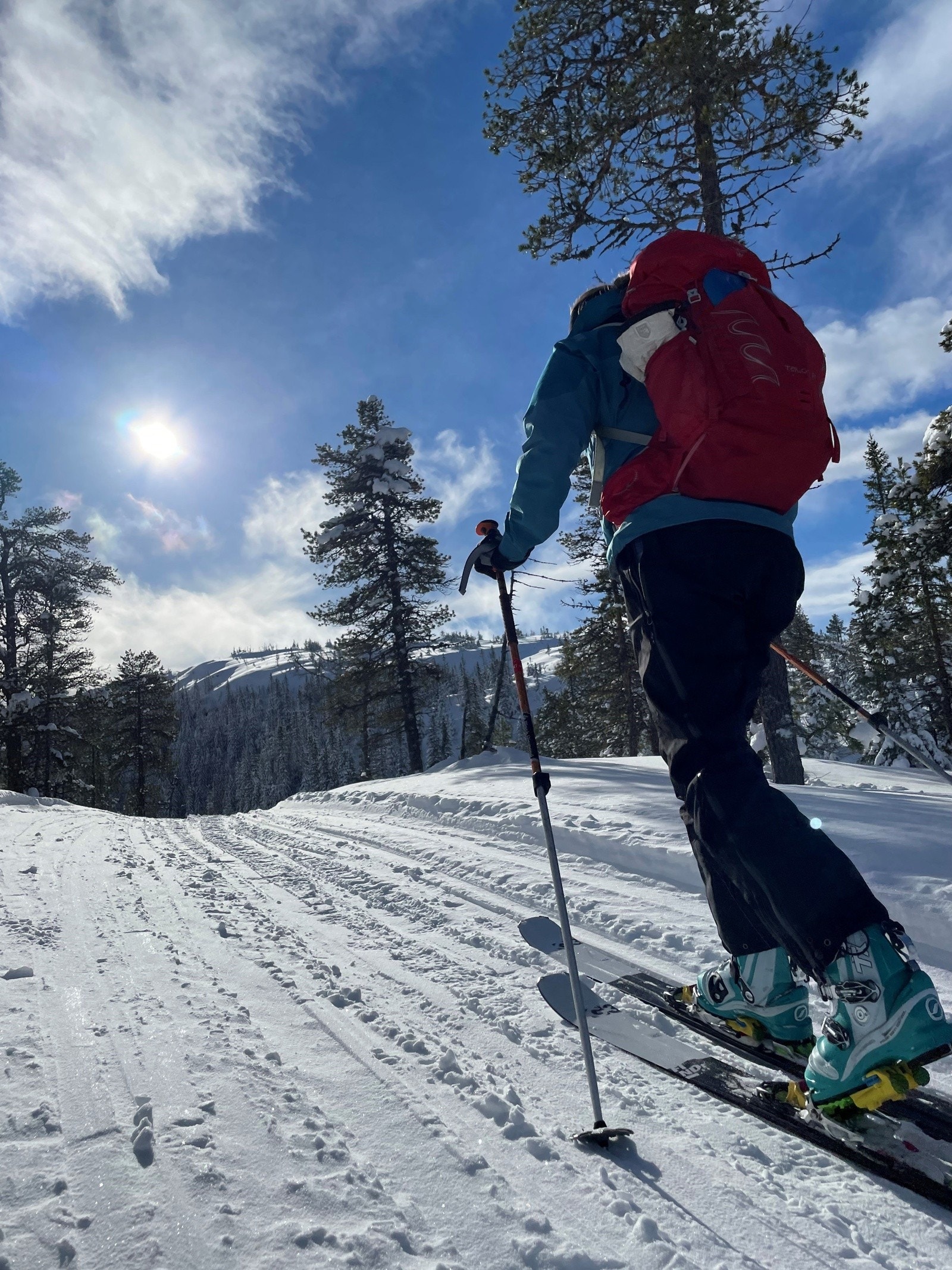 På vinterstid kan man spenne på skiene og f.eks. ta seg en topptur opp Vassfjellet. Galleribilde
