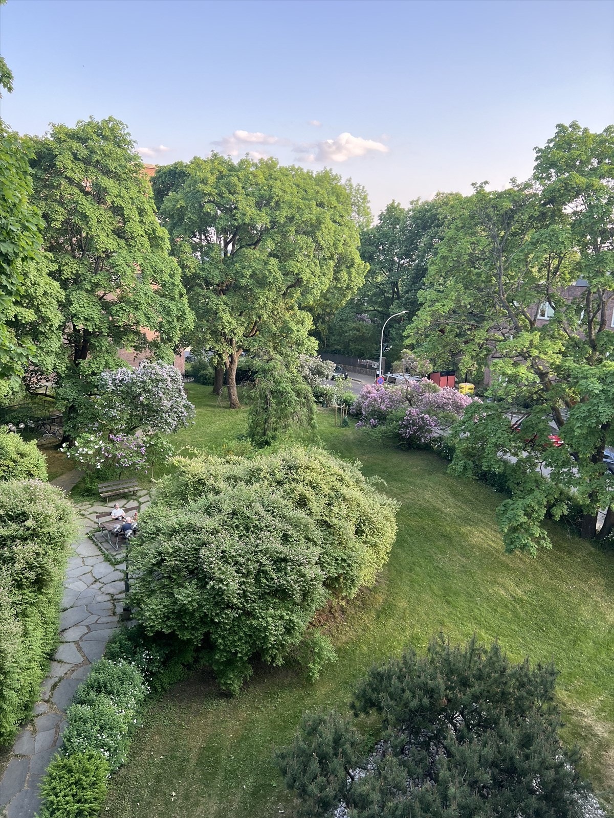 Dagens eiers eget bilde av den frodige bakgården. Galleribilde