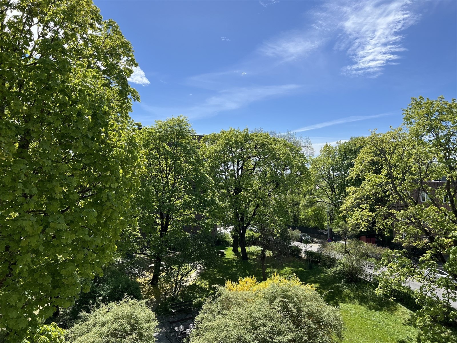 Fantastisk sommerbilde av den frodige bakgården. Galleribilde