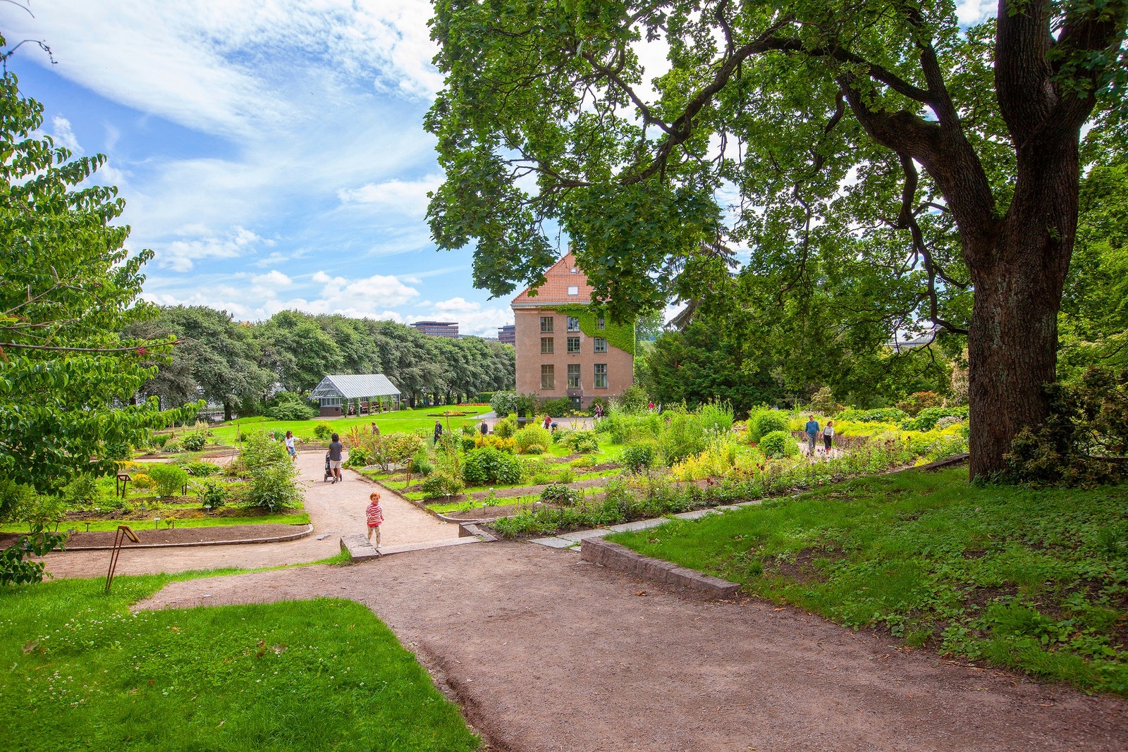 Botaniske hage. Galleribilde