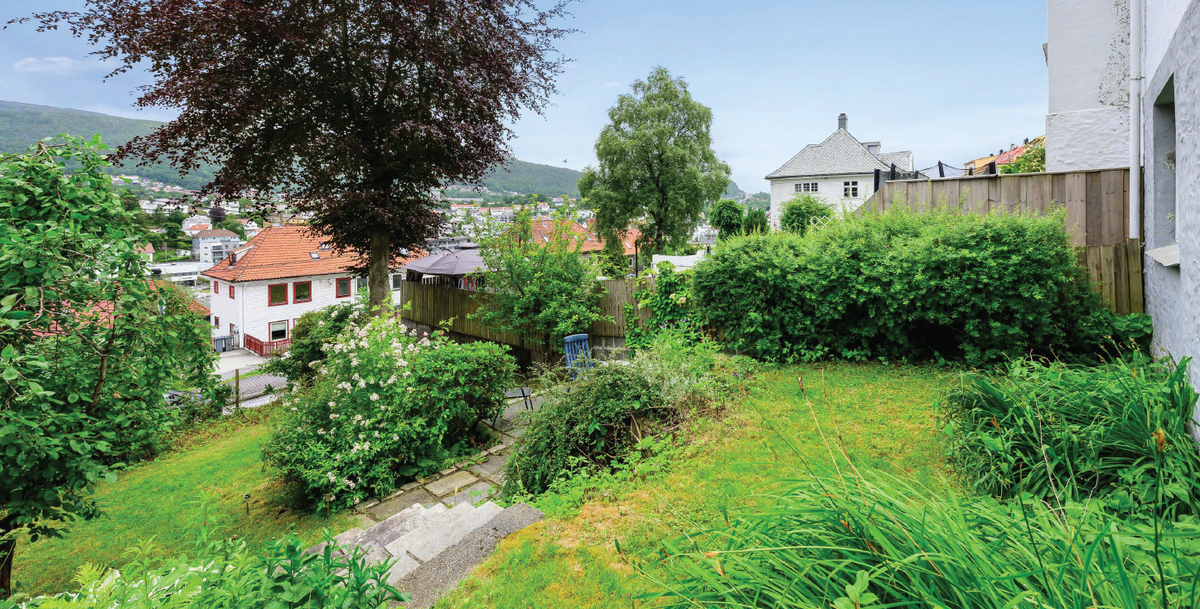 Felles hage Galleribilde