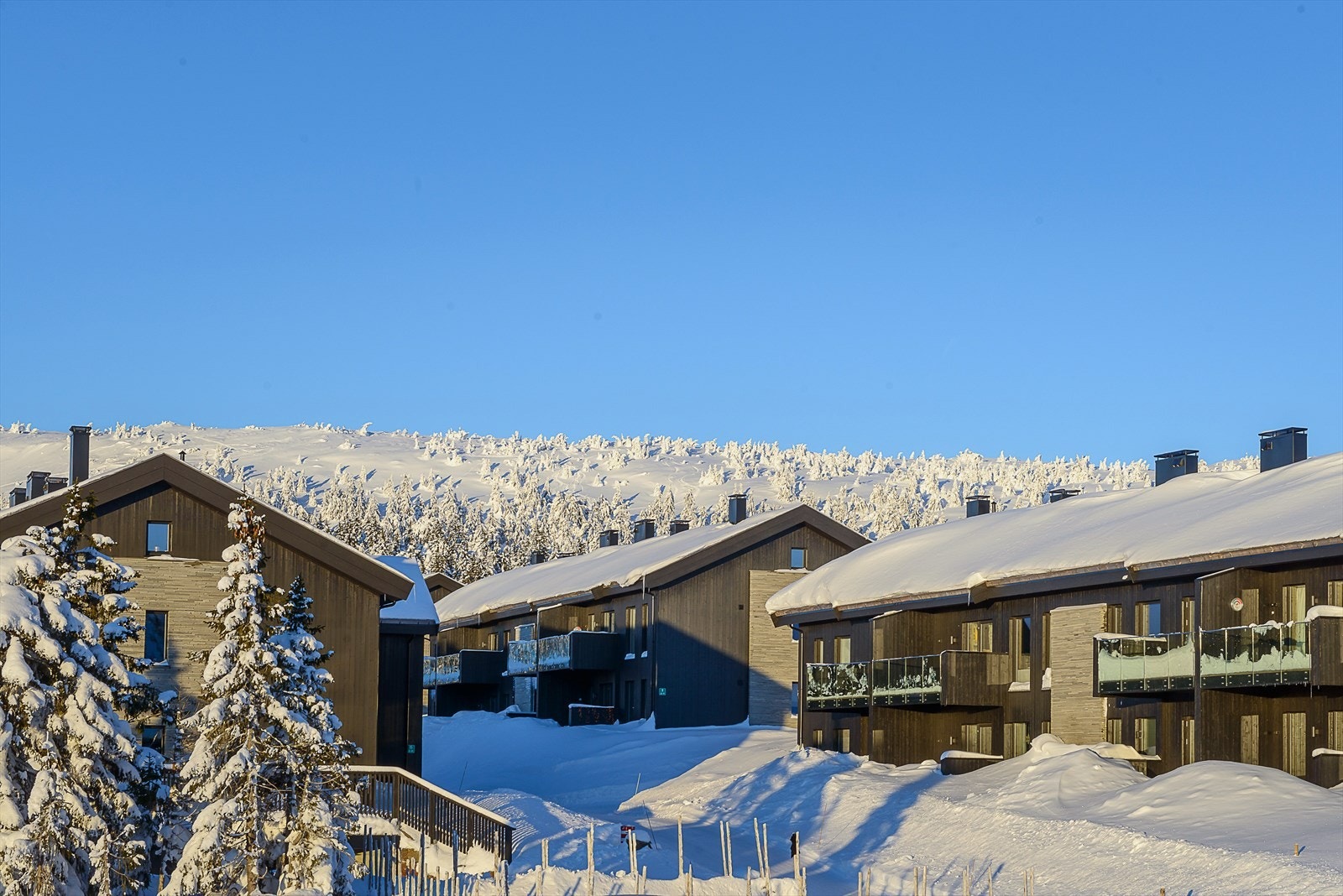 Leiligheten har en ettertraktet beliggenhet på Hafjelltoppen, rett nord for Ilsetra hotell med kort avstand til både Pellestova og Gaiastova. Galleribilde