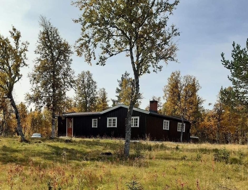 Høst på Krokhølen Galleribilde