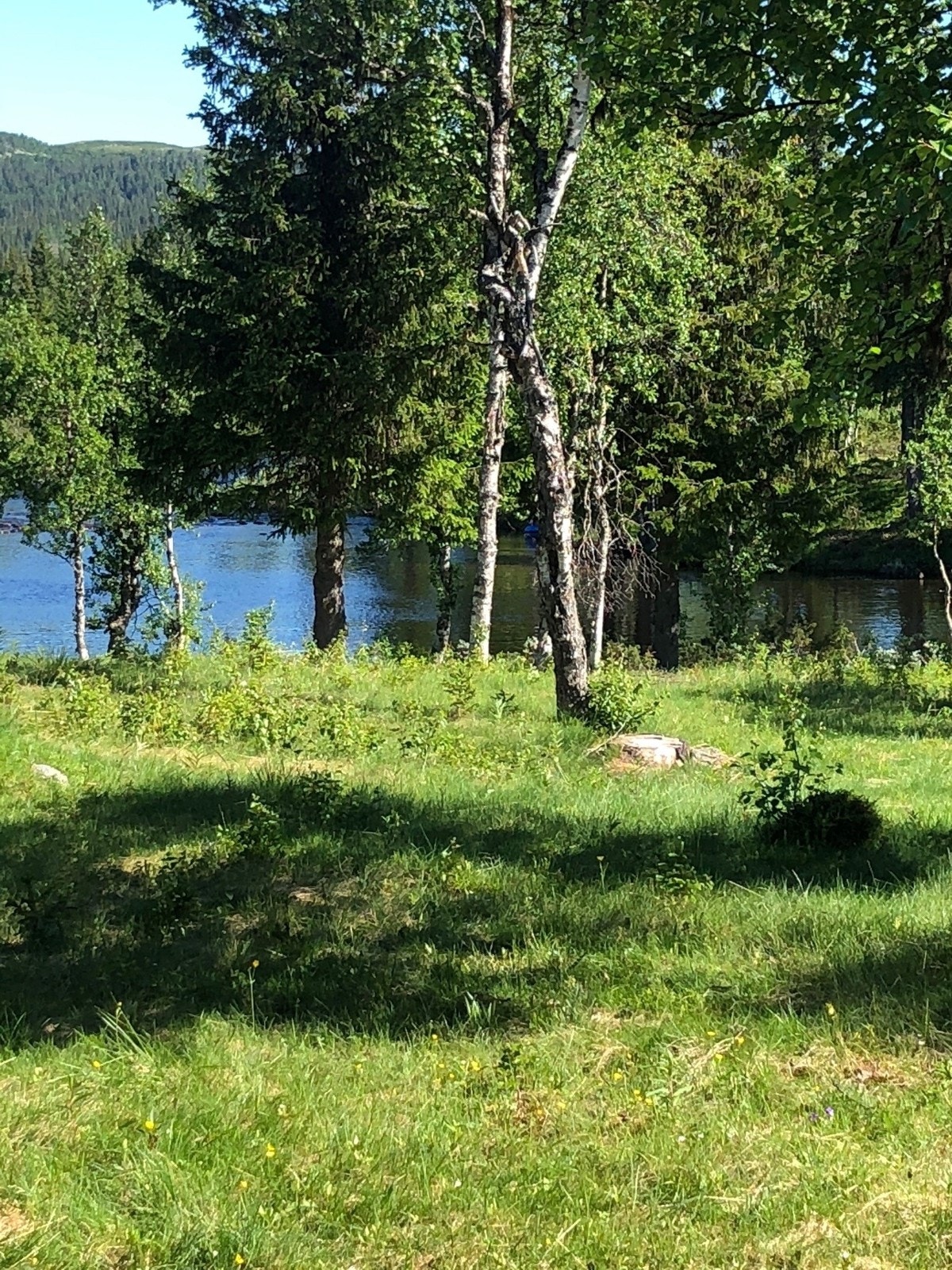 Krokhøl5 Galleribilde