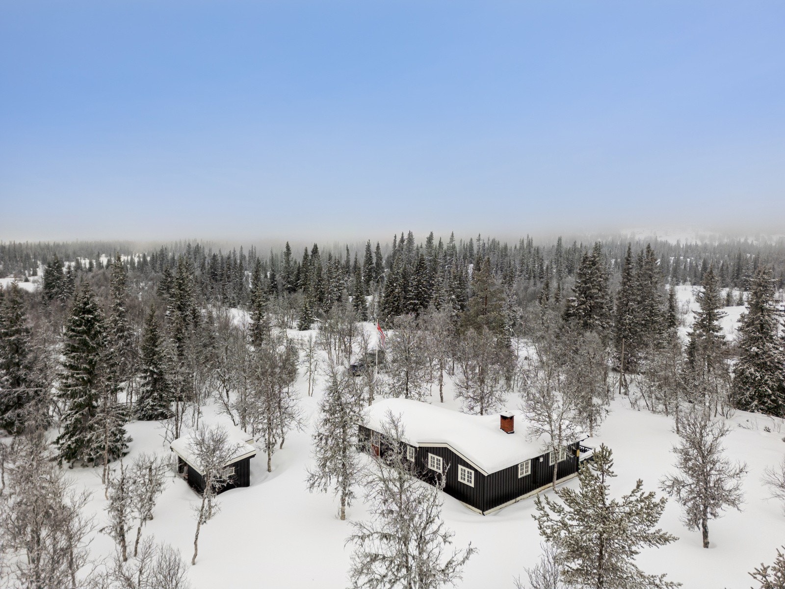 Eiet tomt på hele 2 825 m2 og bilveg helt fram Galleribilde