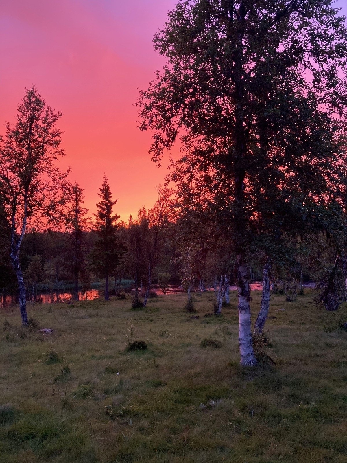 Krokhøl3 Galleribilde