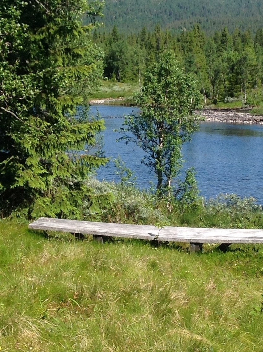 Krokhøl2 Galleribilde