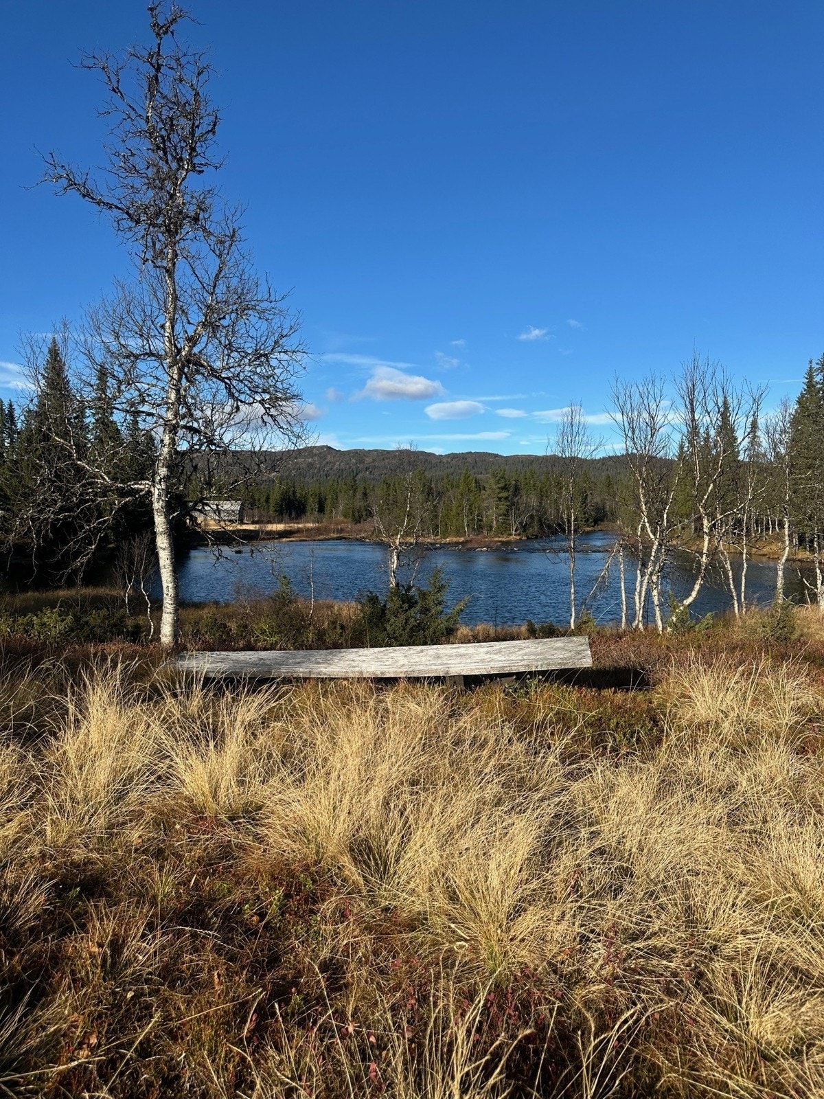 Krokhølvegen utsikt Galleribilde