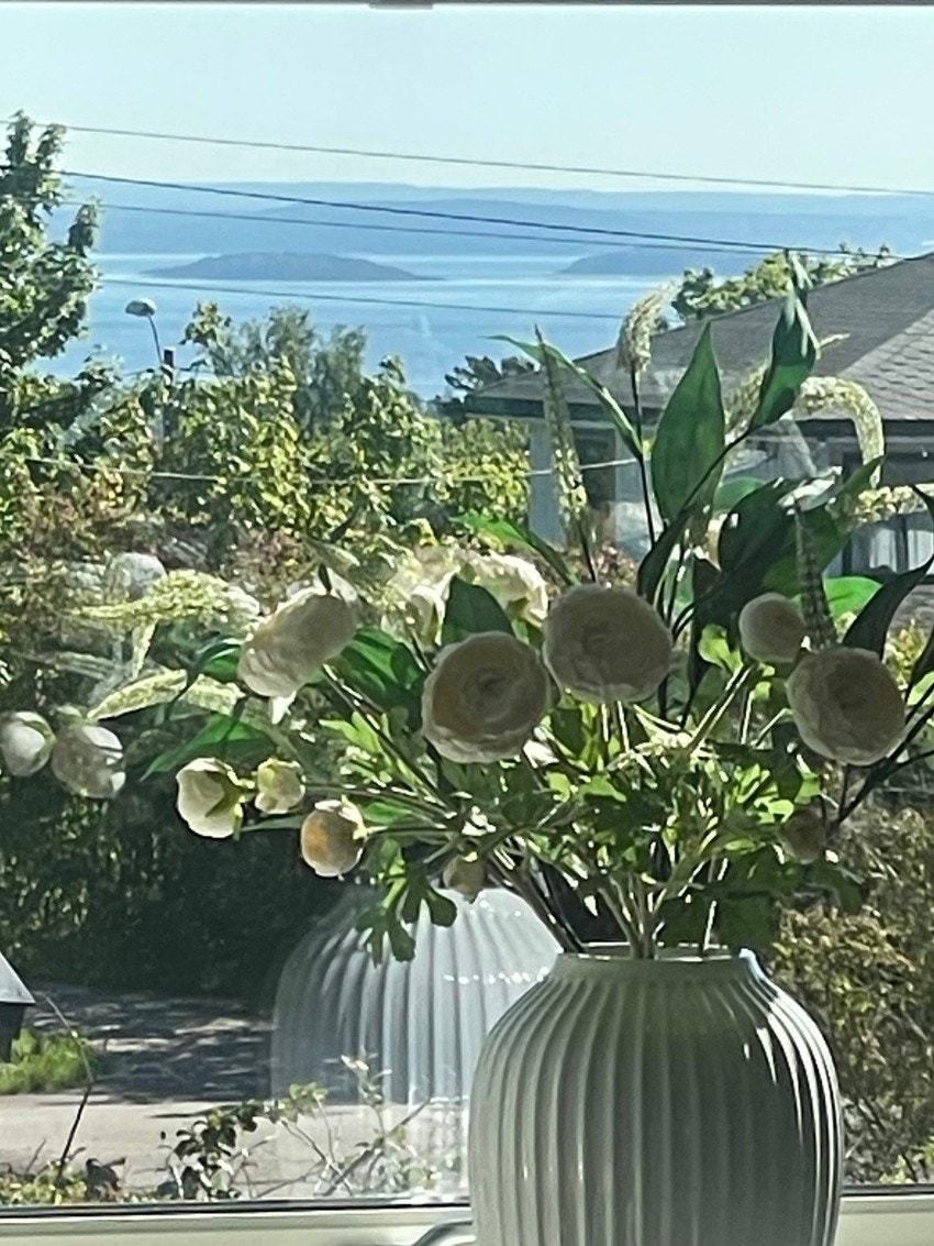 Selgers eget bilde av utsikten fra kjøkkenet. Galleribilde