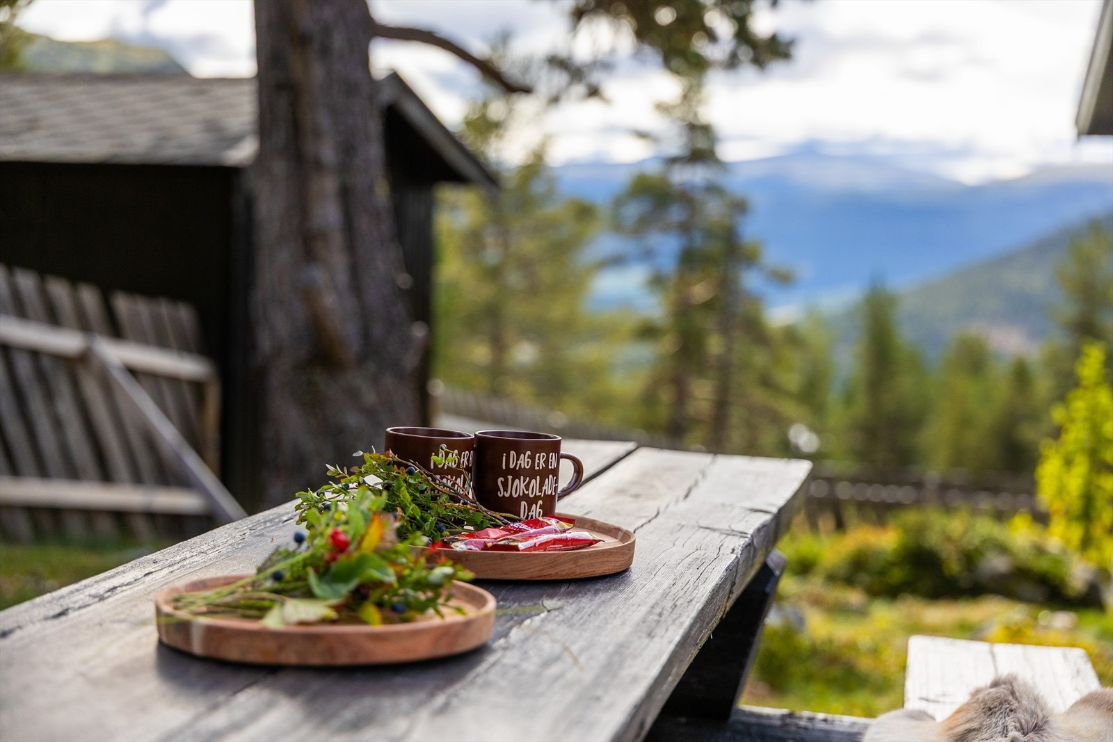 Hyttekos Galleribilde