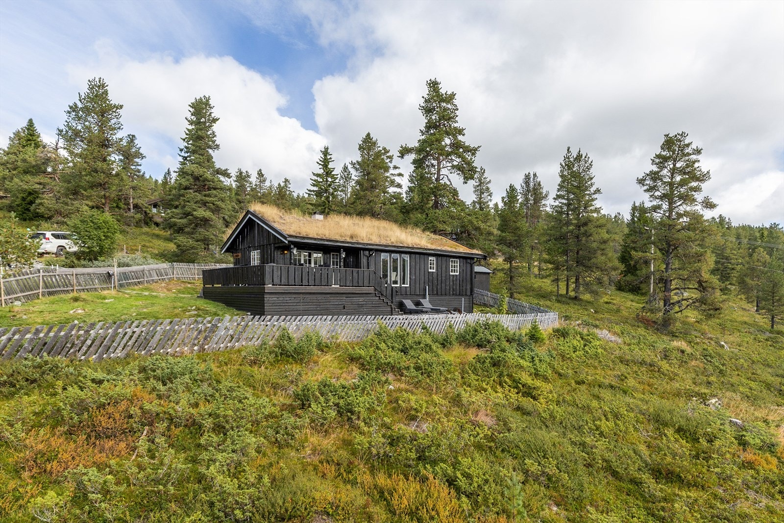 Velkommen til visning! Galleribilde