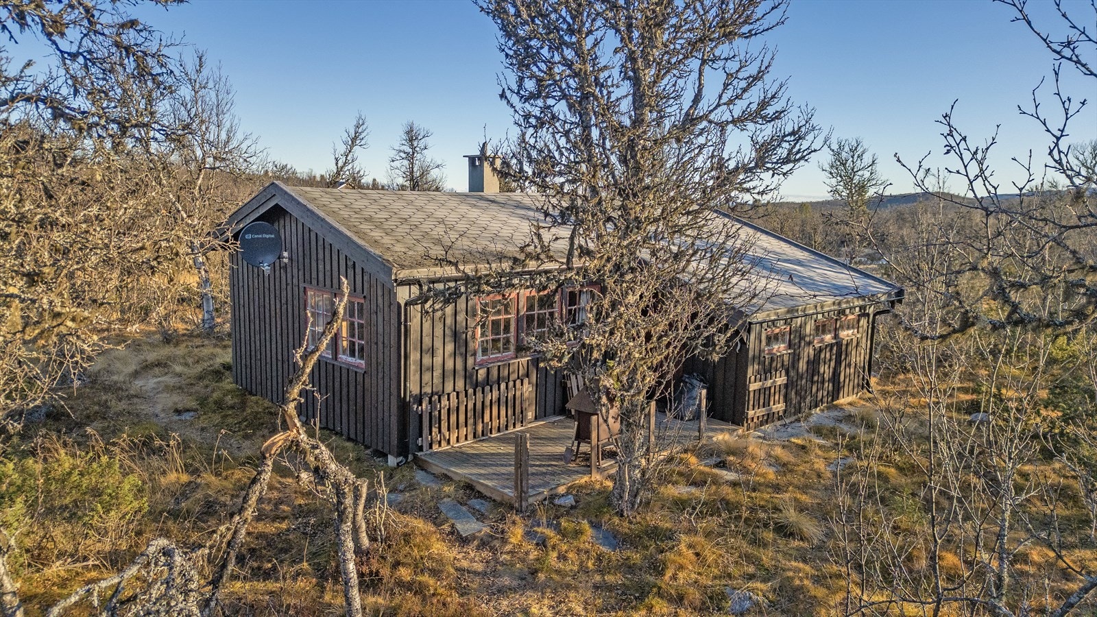Naturtomt rundt hytta. Galleribilde