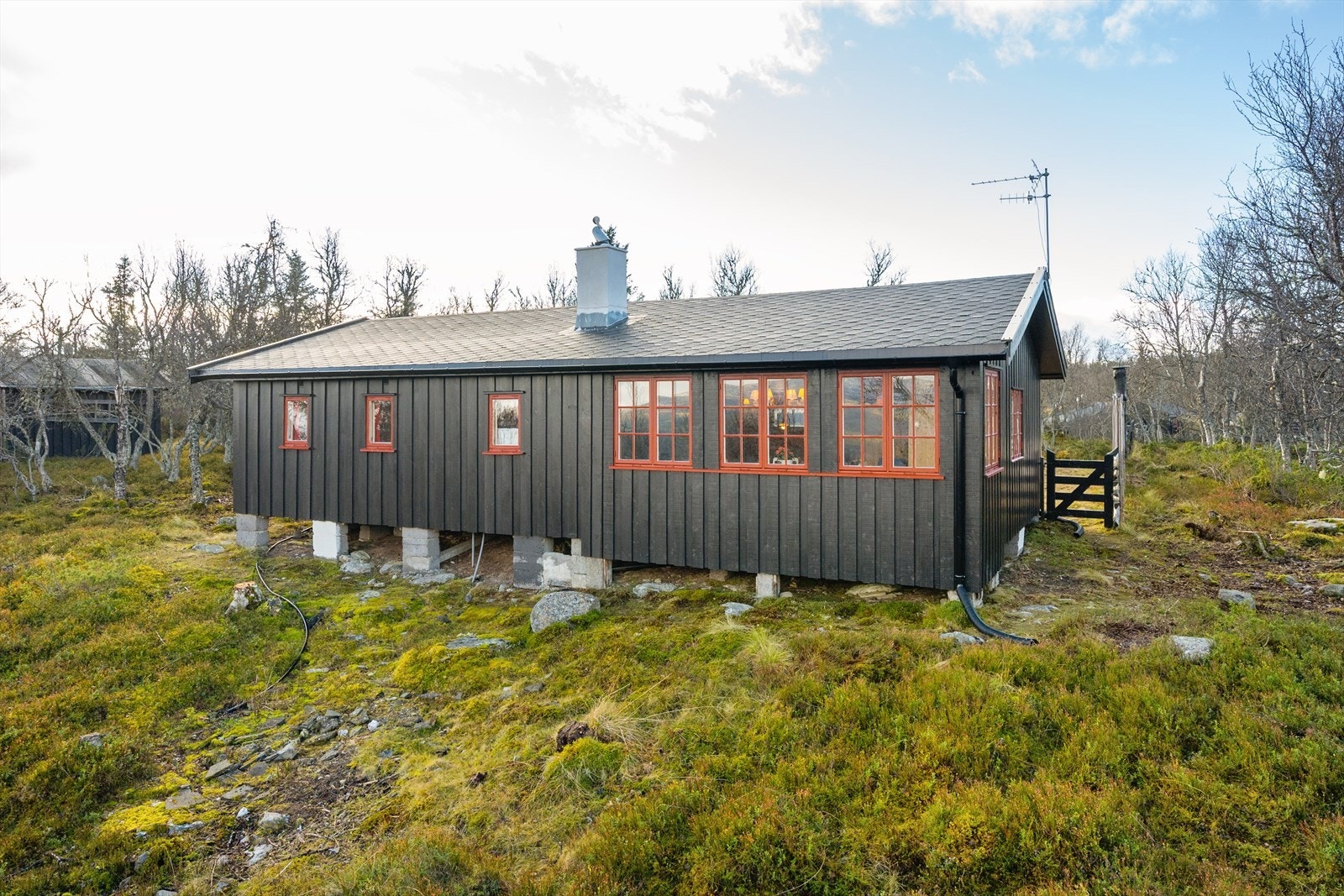 Tomten er ca 1446 kvm. Galleribilde