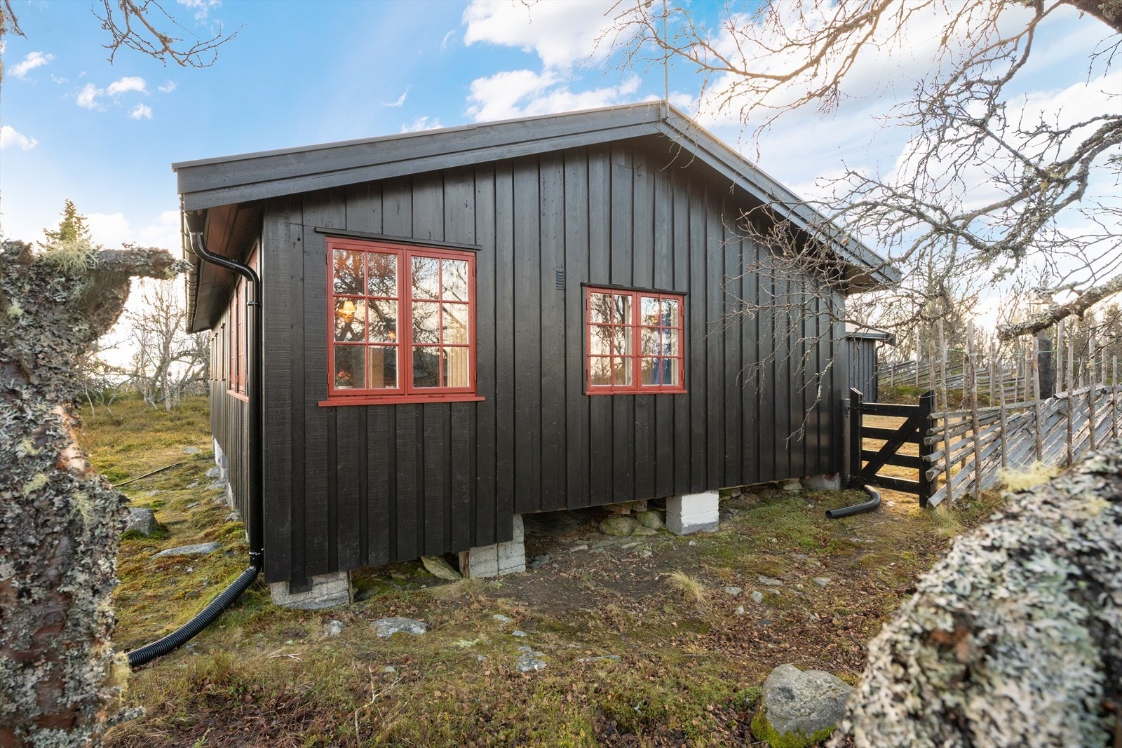 Fasadebilder Galleribilde