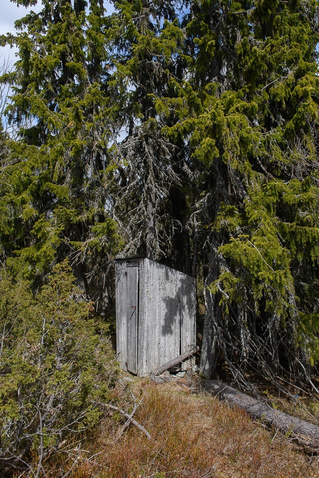 Hytta har utedo. Galleribilde