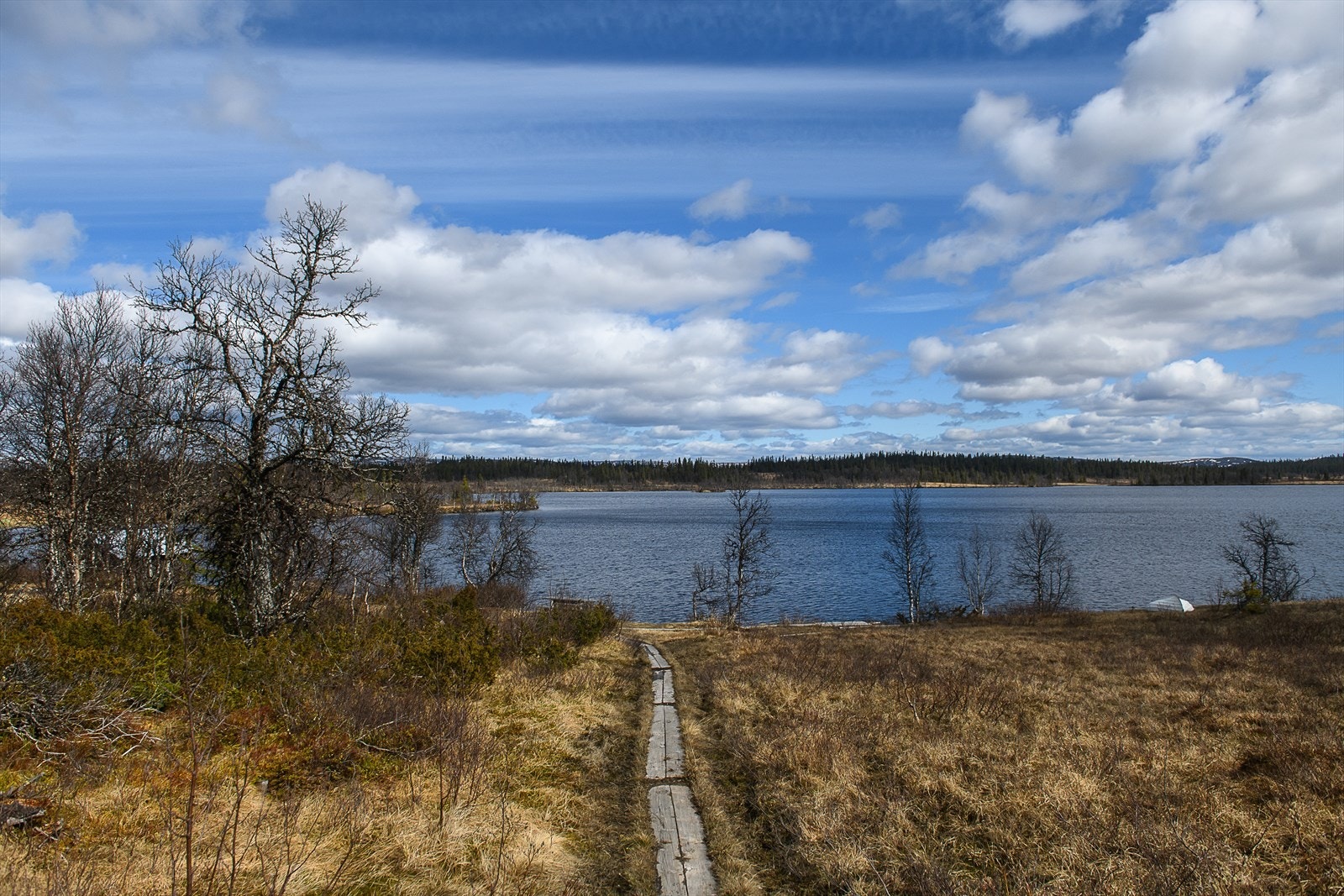 Hornsjøen er rett nedenfor hytta. Galleribilde