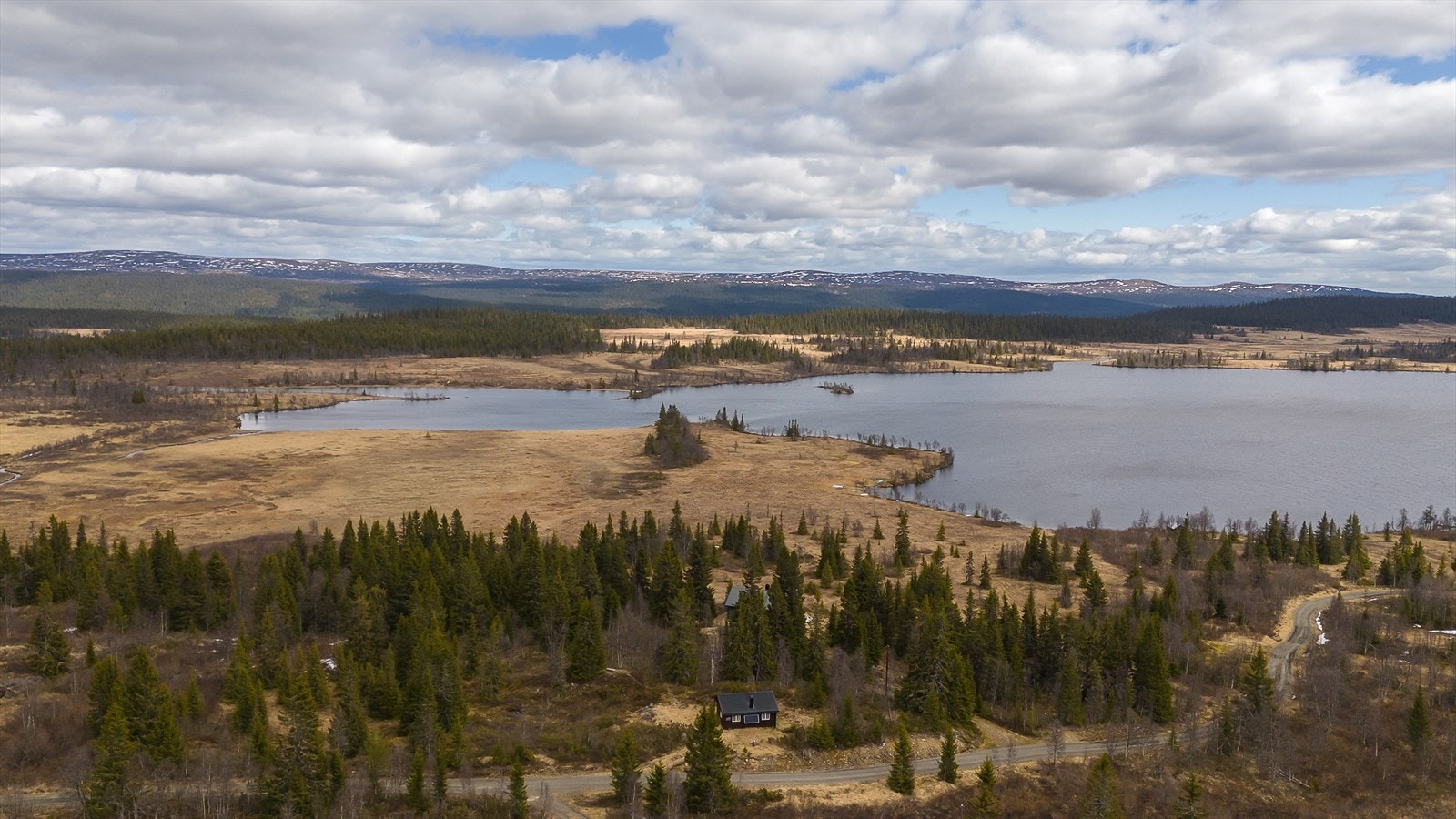 Dronefoto av området. Galleribilde