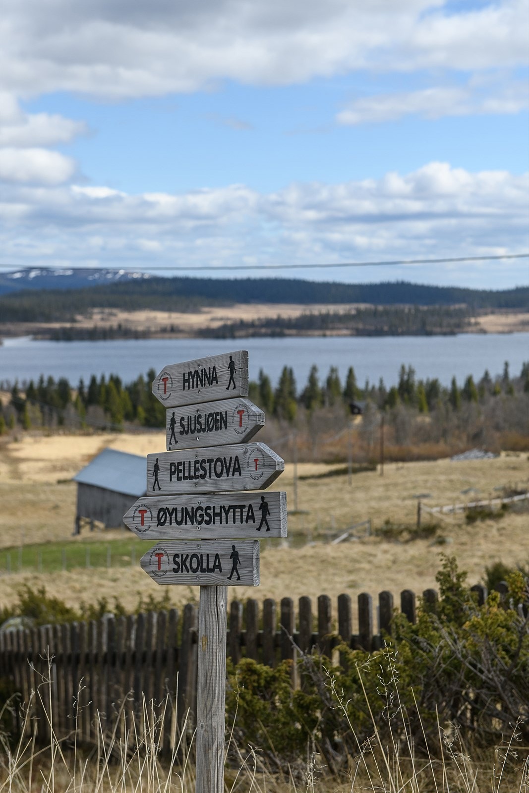 Milevis med turmuligheter i Øyerfjellet. Galleribilde