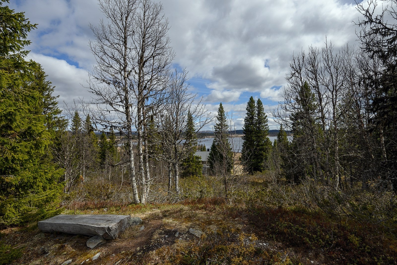 Fin utsikt mot Hornsjøen. Galleribilde
