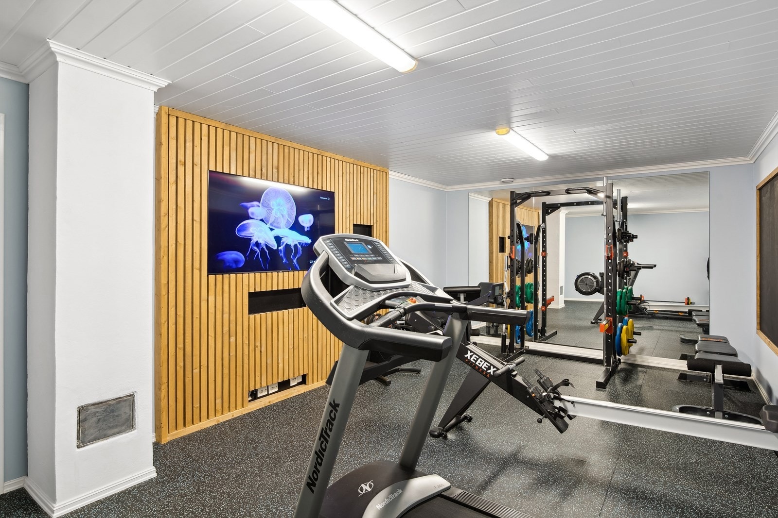 Trimrom i kjeller. Galleribilde