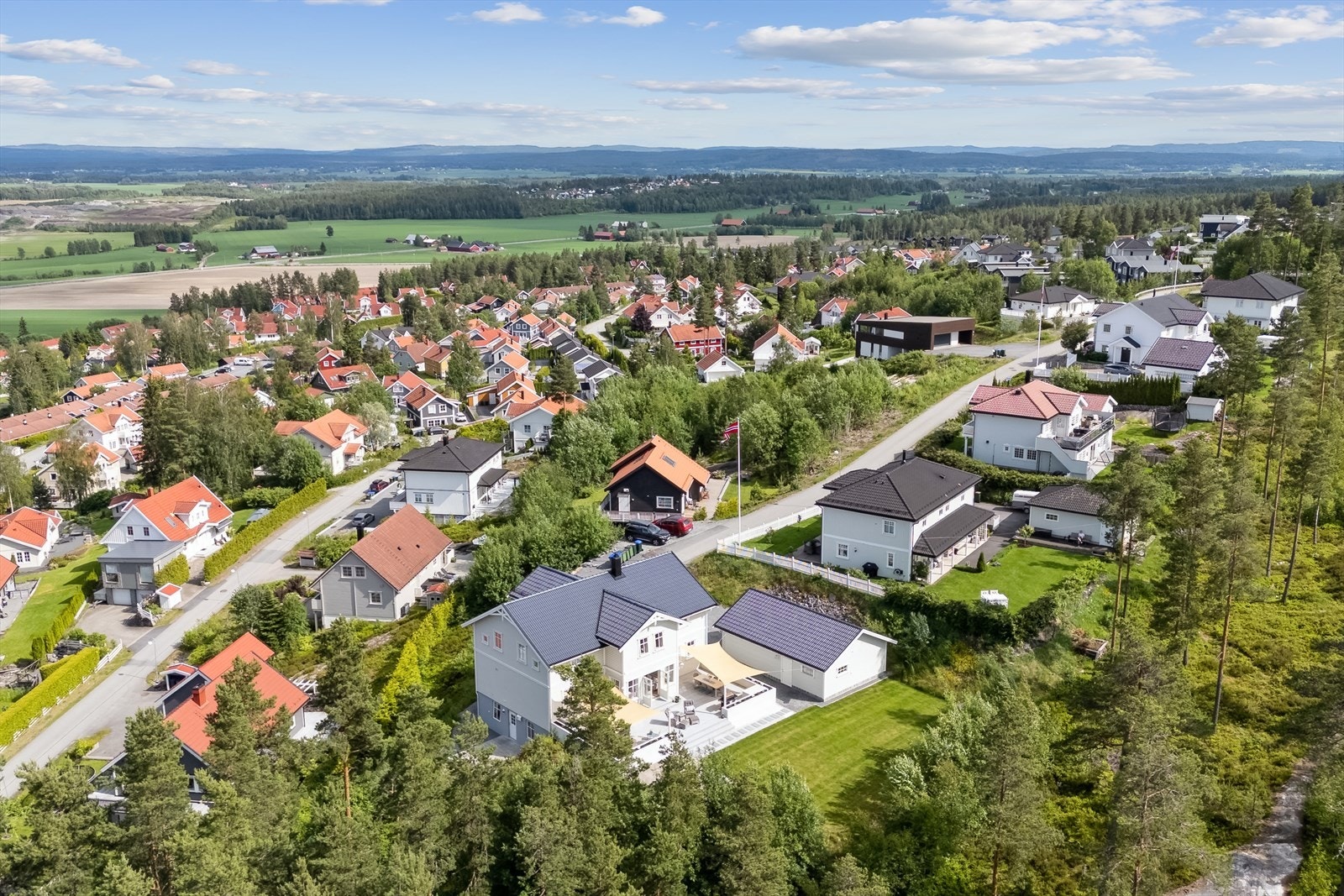 Område. Galleribilde