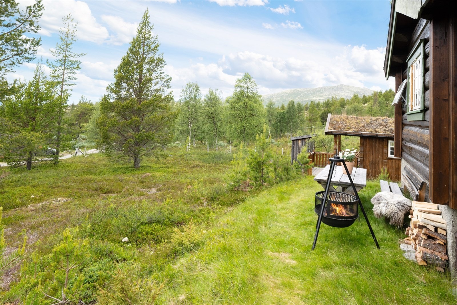 Utsikt fra hytta. Galleribilde