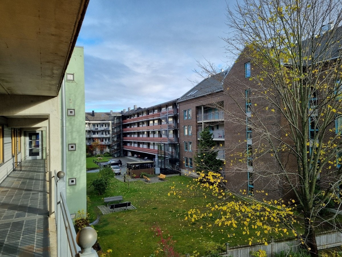 Hyggelig gårdshave Galleribilde