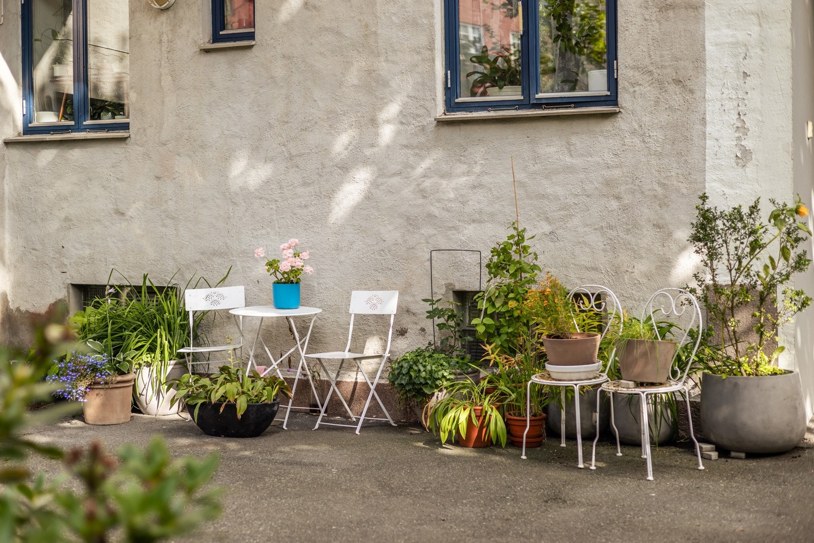 Koselig bakgård med sittegrupper og blomster. Galleribilde