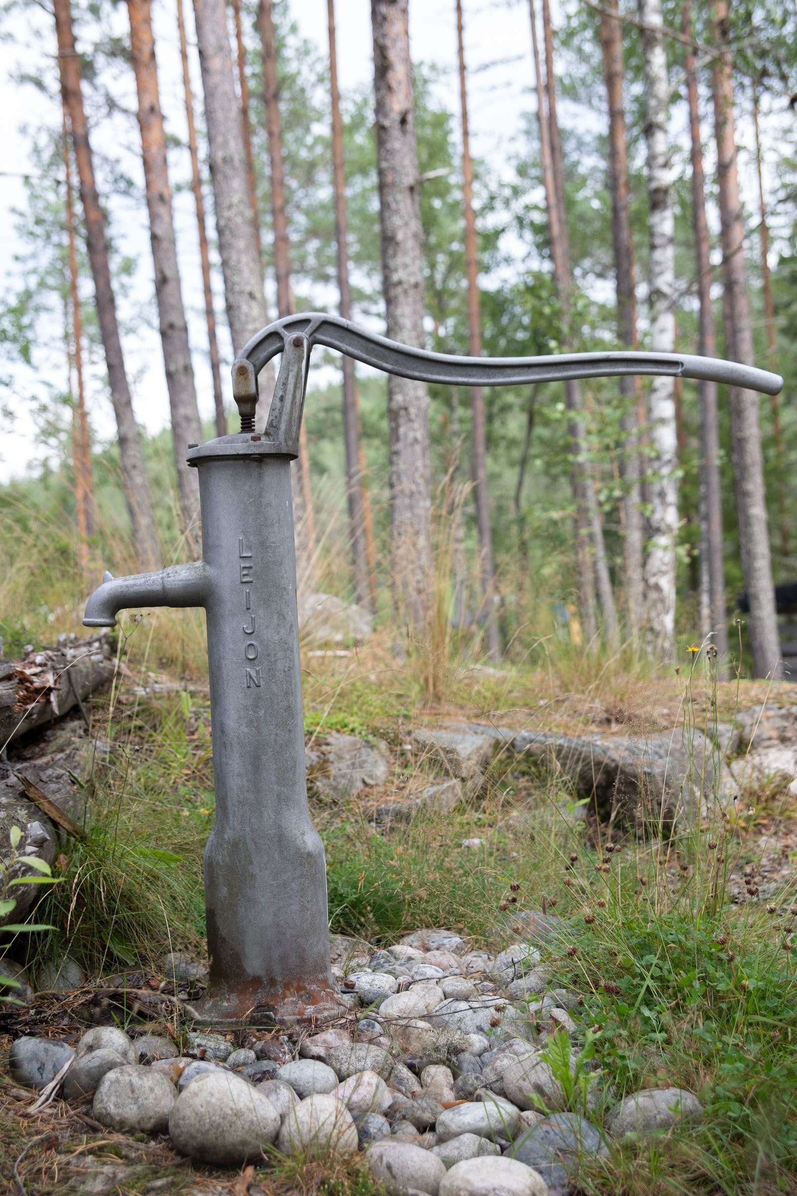 Eget vann på tunet. Galleribilde