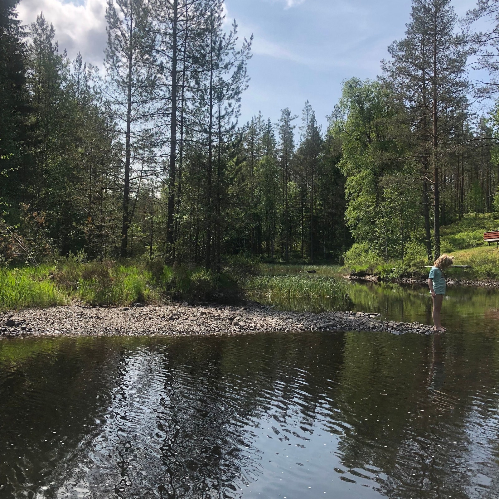 Badekulp i elva Galleribilde