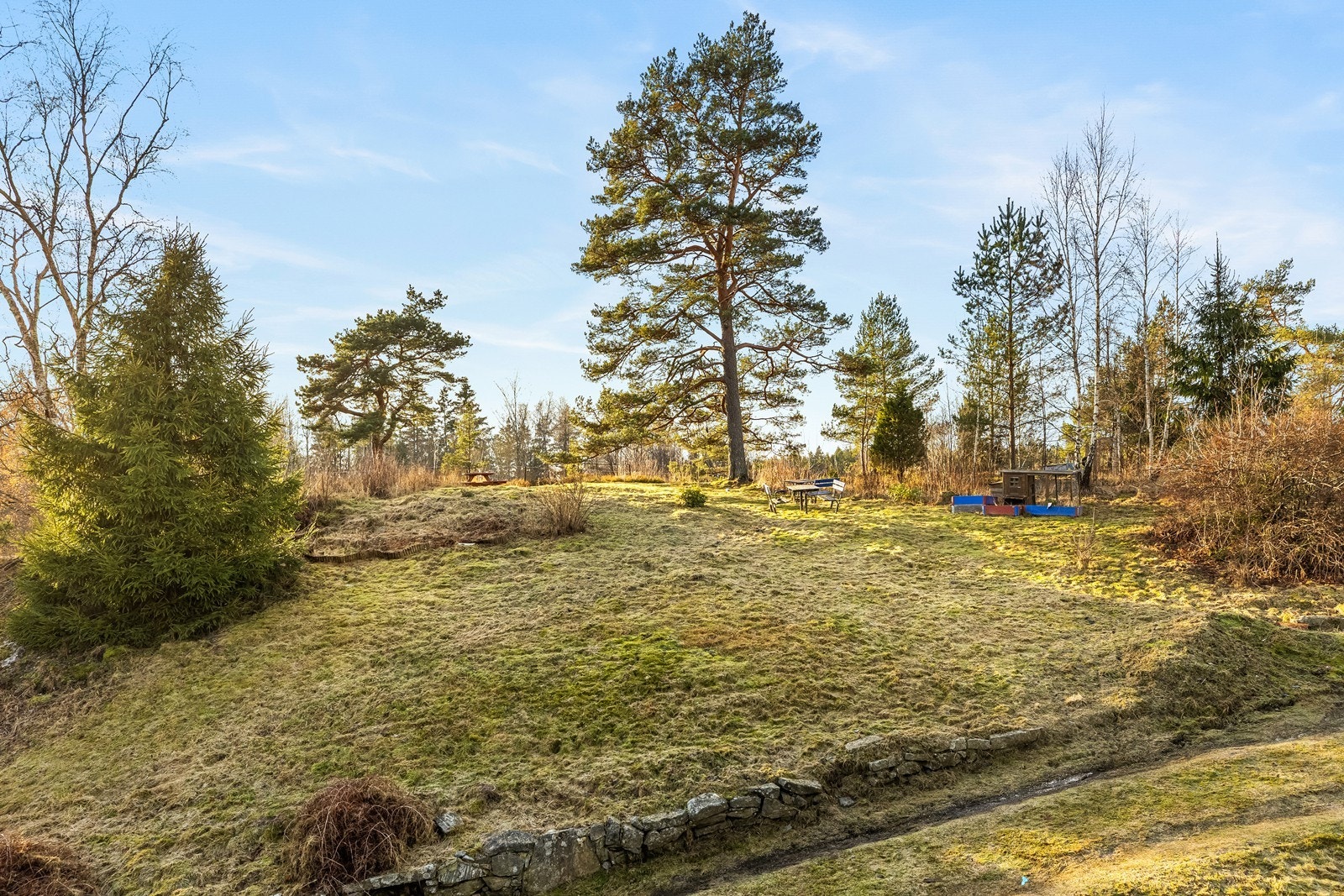 Store og barnevennlig gressarealer med diverse beplanting, trær og busker Galleribilde