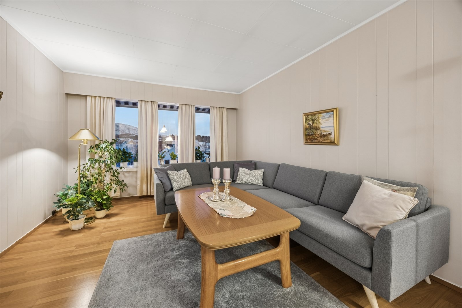 Naturlig plass for sofagruppe og tv. Galleribilde