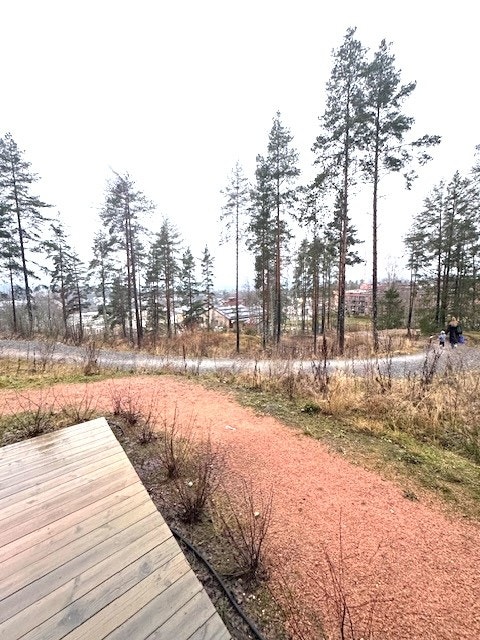 Flott utsikt fra leiligheten. Galleribilde