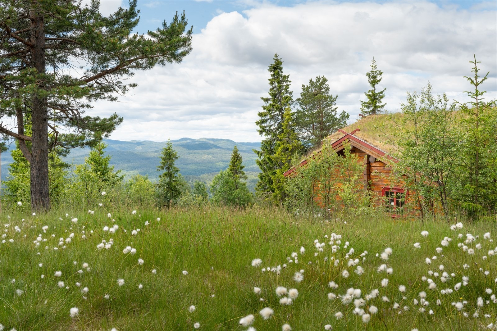 sh19444_flugonfjellvegen-56-sommer_foto_stein-hofve-dxp.jpg Galleribilde