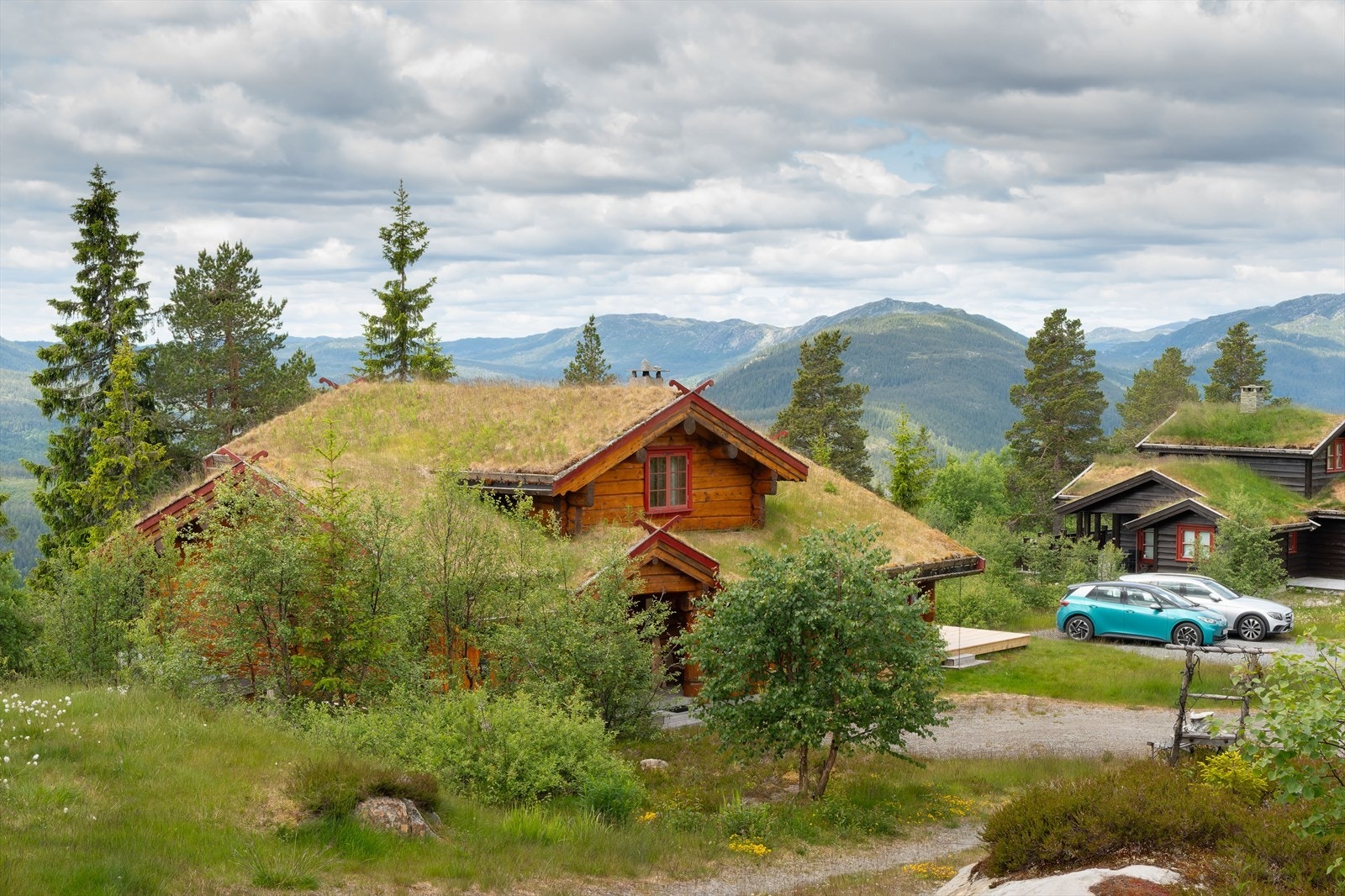 sh19423_flugonfjellvegen-56-sommer_foto_stein-hofve-dxp.jpg Galleribilde