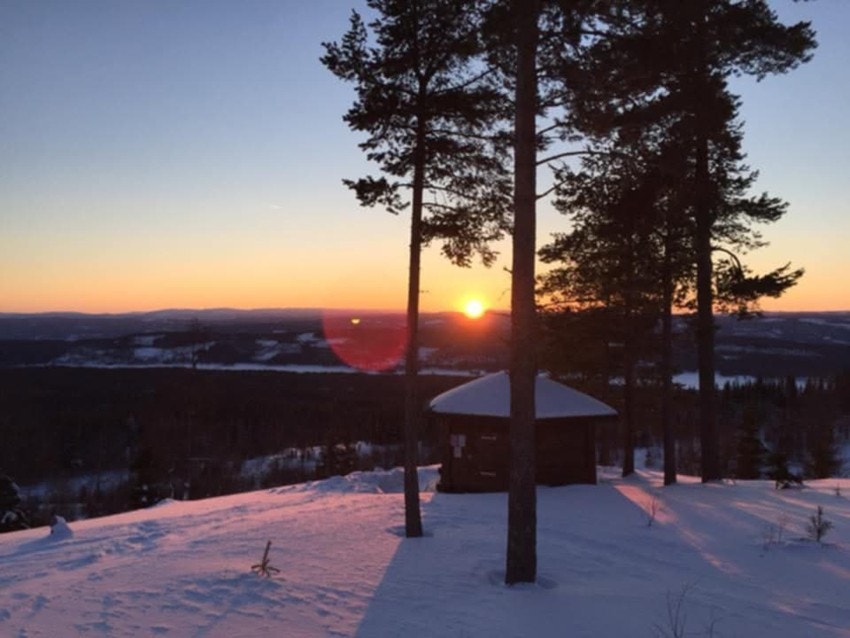 Felles grillhytte Galleribilde