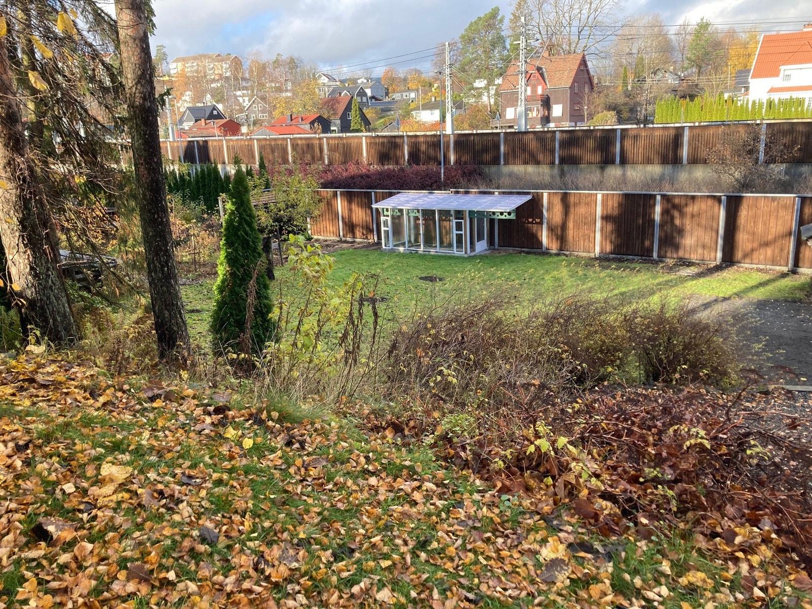 Hage med hjemmesnekret drivhus Galleribilde