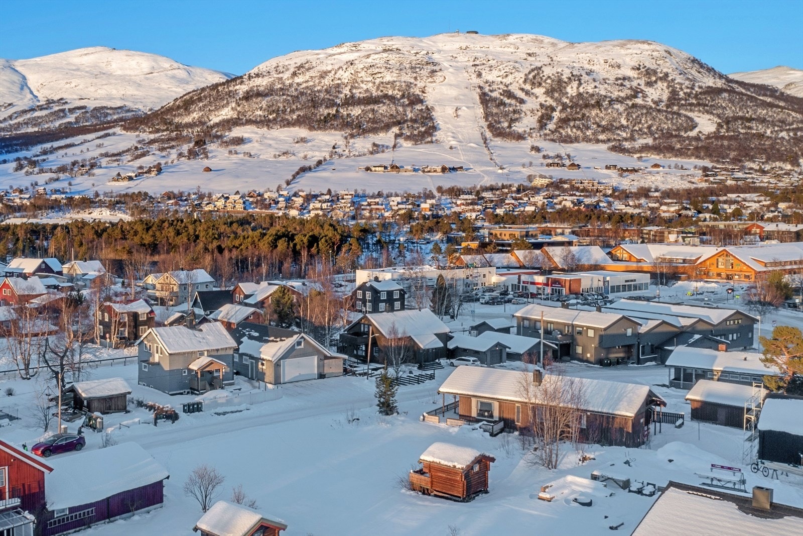 Velkommen til Tranevegen 3! Galleribilde
