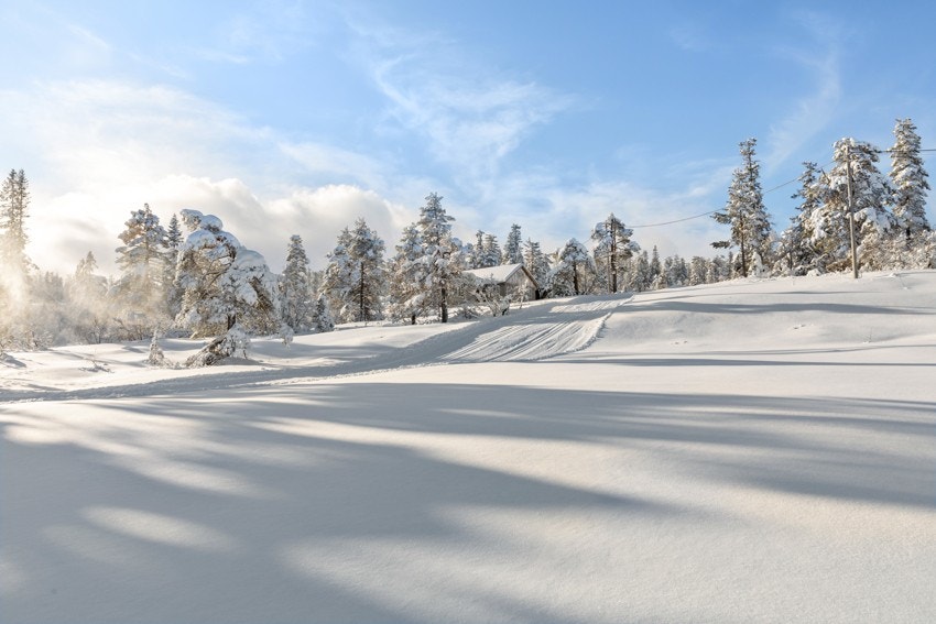 Langrennsløyper Galleribilde