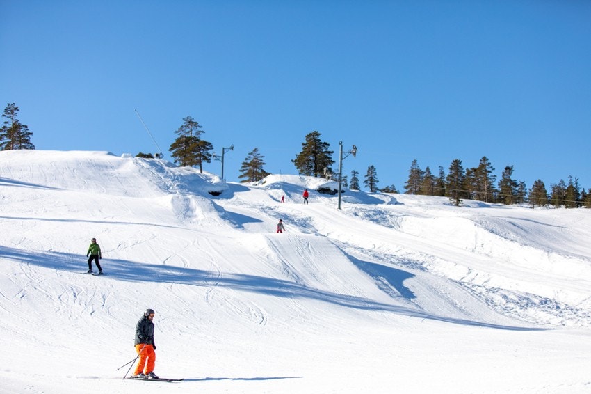 Slalombakken Galleribilde