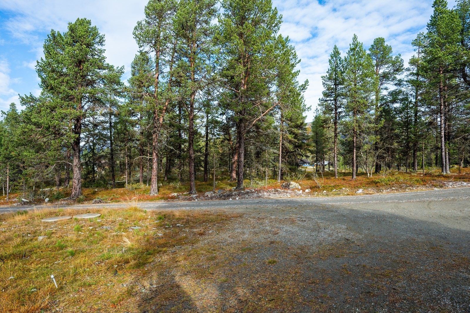 Tomten er tilnærmet flat. Galleribilde