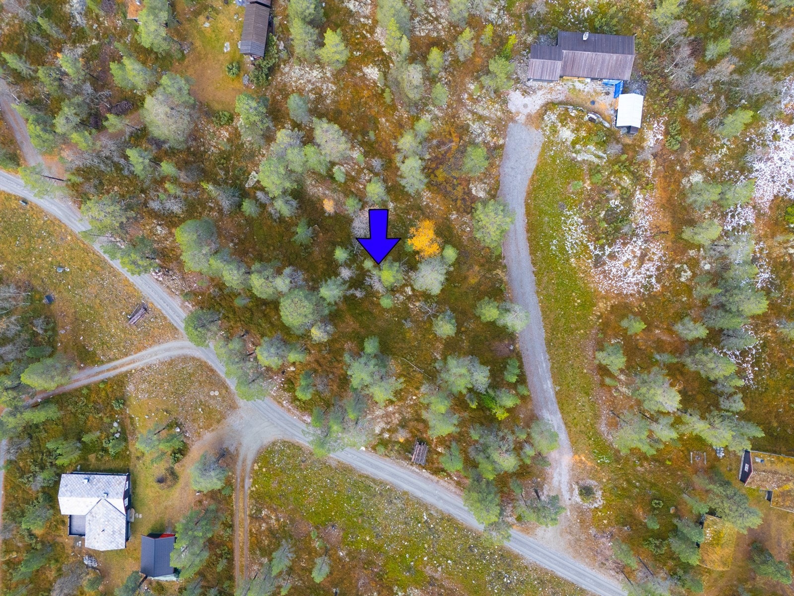 Tomten er ca 2.995 kvm. Galleribilde